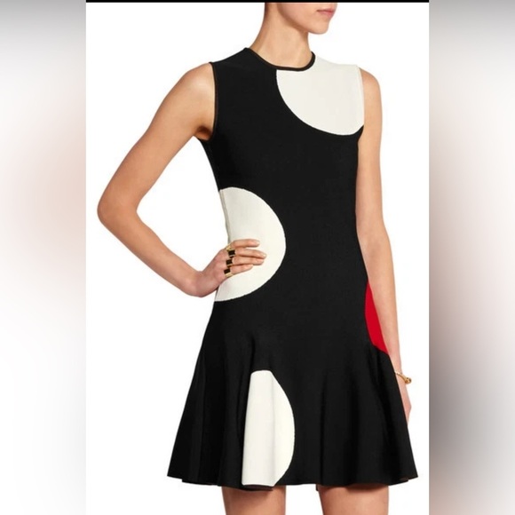 Alexander McQueen Fit and Flare Polka Dot  Intarsia Knit Dress Sz Medium - Picture 1 of 7